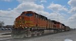CN C74591